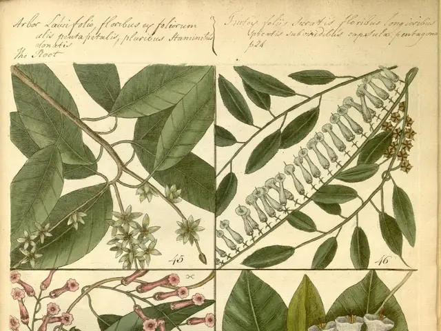 Insights on Employing Vermicompost for Your Garden Plants