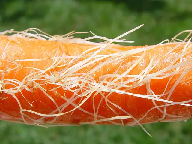 Twelve Carrot Juice Formulas for Enhanced Wellness