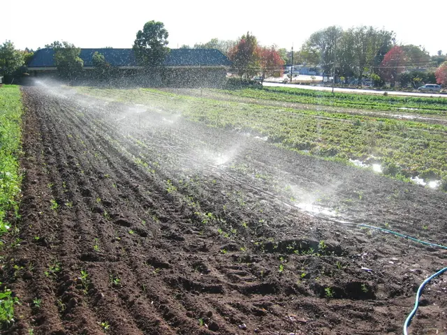 Maintaining irrigation networks: Strategies to prevent system failures