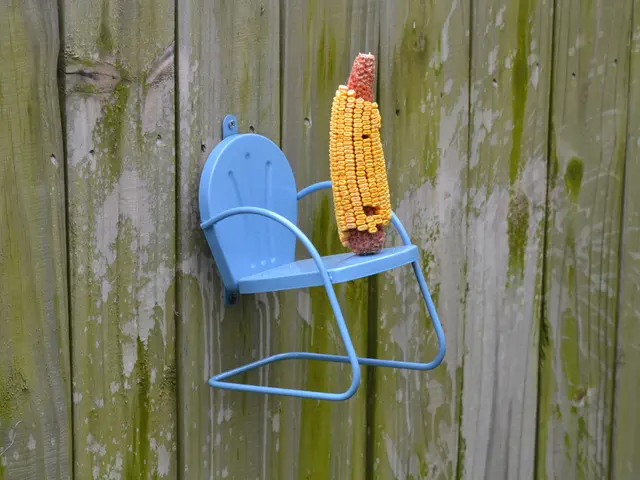 Extension of the report submission deadline by the Commission.