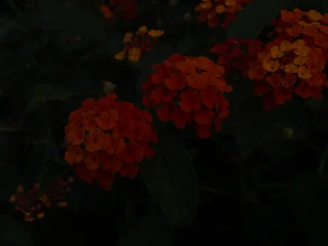 The Importance of Nurturing "Unattractive" Vegetation in Your Colorado-Based Flower Beds