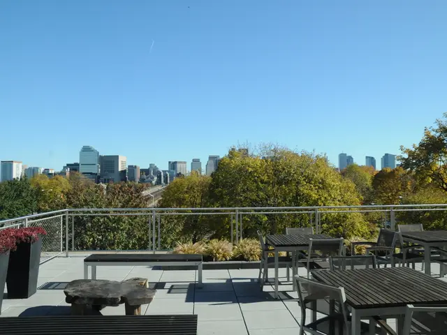 Revamping Atmosphere and Decor in Restaurant Redesign