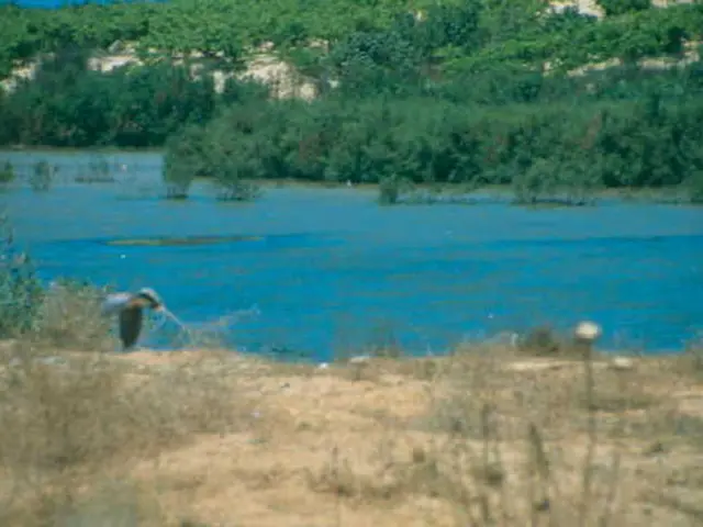 Impact of Acid Rain on Soil and Plant Integrity