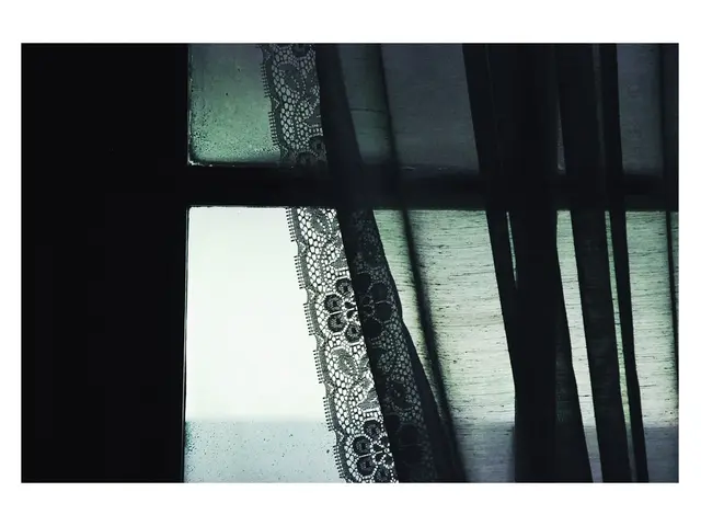 Multiplicity of Curtain Designs for Window Decor: Choosing the Ideal One for a Contemporary Living...