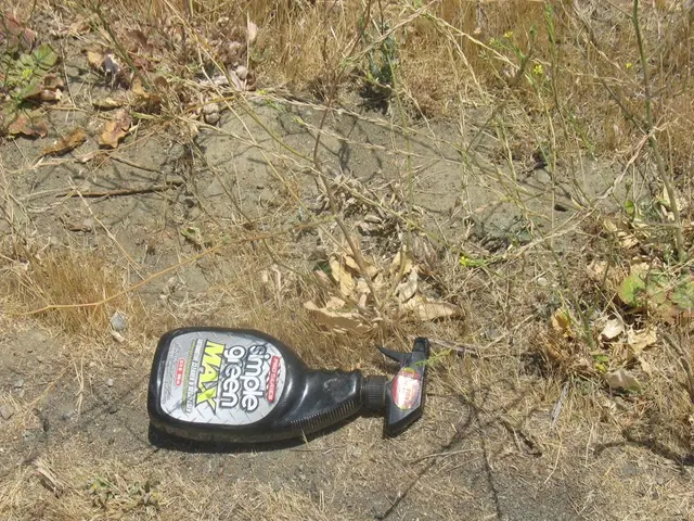 Cultivating Sage Plant | A Guide to Growing Sage with 5 Key Harvest Techniques