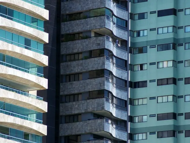 Design Studio Specializing in Interior Architecture, Located in Dubai