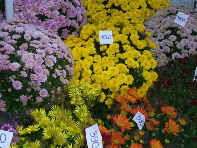 Twitter in San Francisco Offloads Merchandise