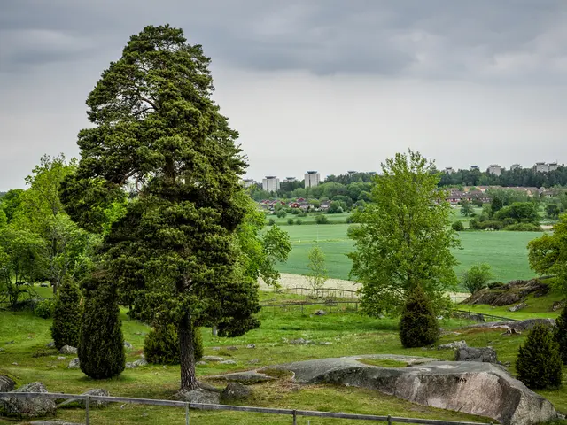 Garden design flaws that consistently grab my attention, and unfortunately, not in a positive...