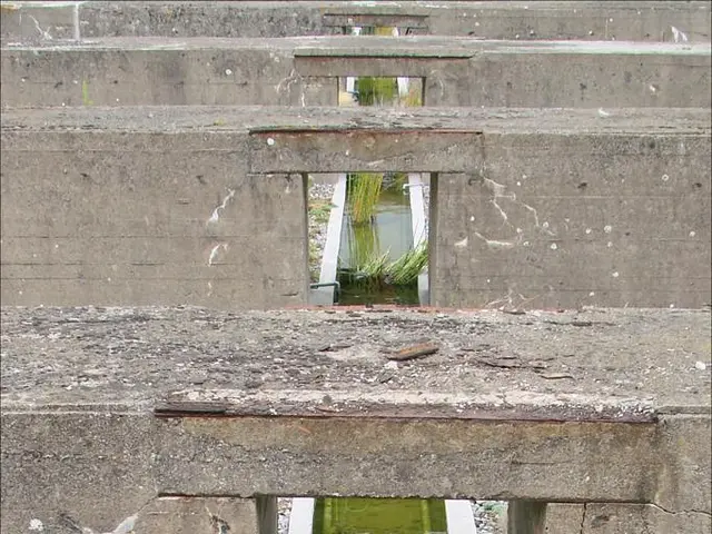 Summer vacation activities commence in Bad Krozingen on Thursday