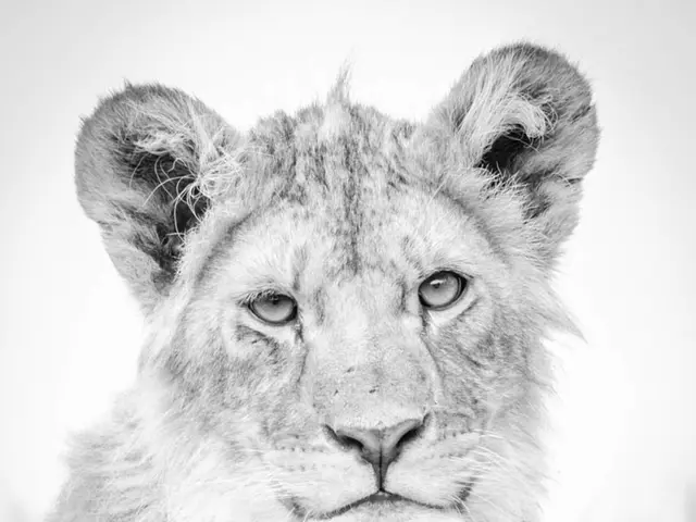 Uncommon Births in the Year-Round Zoological Park