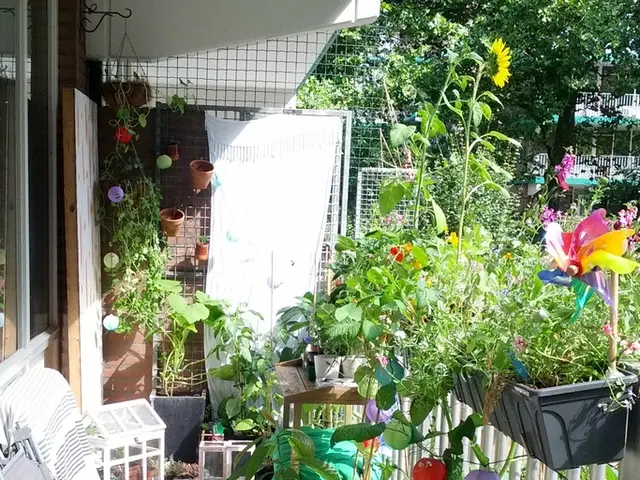 The Unusual Elements in Every Room That Give This Bahamian Tropical House Its Unique Melodious...