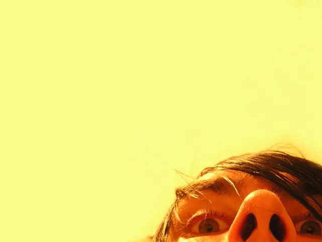 Nasal blood clots: Origins, extraction, avoidance strategies, and additional insights