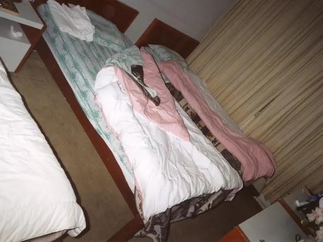 The transformative power of floral curtains, as demonstrated in Lauren Graham's vintage-inspired...