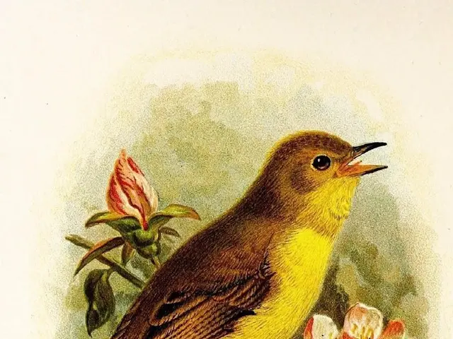 Creating Artworks using Straw and Leaves