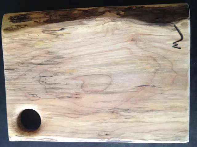 Twenty-Four Innovative Wood Floor Concepts to Revamp Your Home's Base Structure