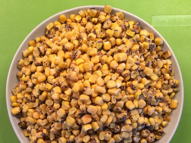 Vegan and Gluten-Free Chickpea Wrappers