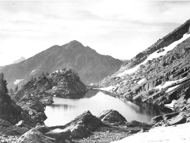 Secrets for Soil Health to Prevent Million Bells Plant Demise