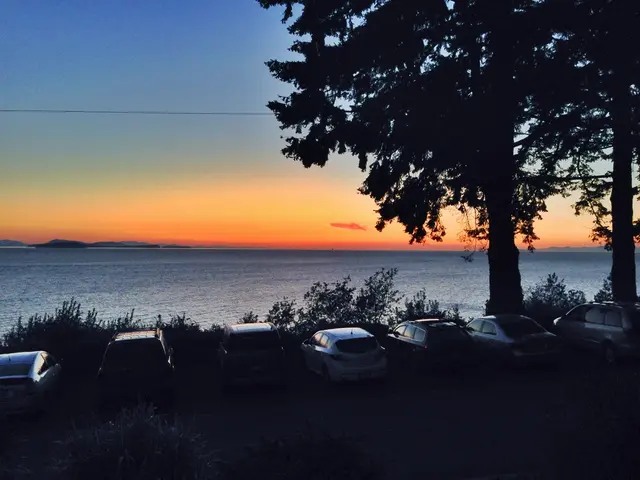 Tree Planting in Station's Front Courtyard