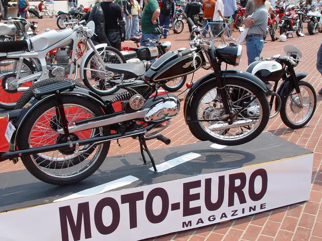 Top-Tier Recumbent Exercise Bikes