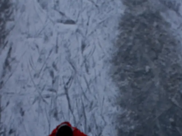 Recommended M&S Goodmove Jacket to Friends, Regardless of Running Habit - Explanation Given