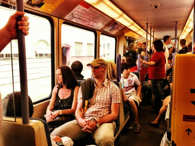 Unraveling the Corvid Conundrum: An IT Enthusiast's Manual for Crow Connection