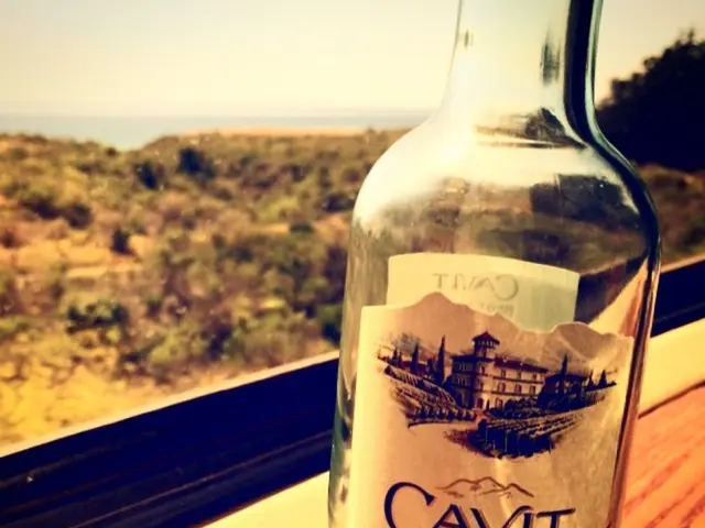 Preparing Ground in Ohio for Wild-Simulated American Ginseng Cultivation: Techniques for Soil...