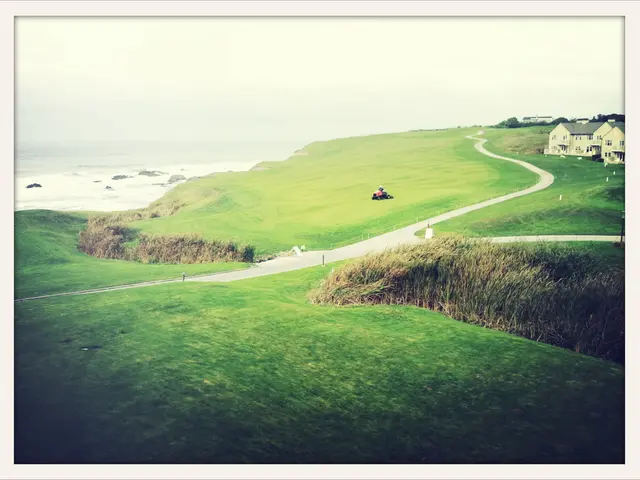 Spent three content years residing in an isolated hamlet, only to realize my financial...