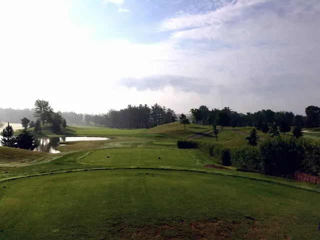 Revamped Urban Oasis: The Emergence of Mobilized Greenery at Neues Marktplatz