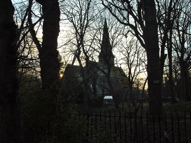 Revising home insurance coverage could be crucial due to potential alterations in your dwelling,...