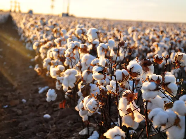 Exploring Tough Terra: Nurturing Plants in Difficult Ground Conditions