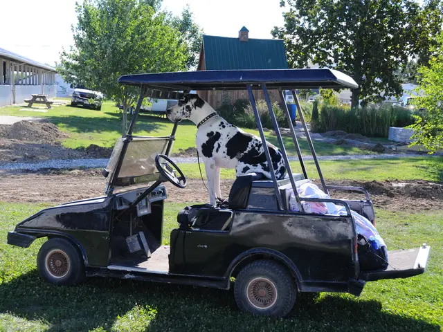 "Canine-accompanied nomadic living"