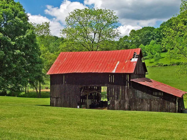 Transforming Garden Sheds: 5 Strategies to Camouflage Your Outdoor Storage and Preserve Visual...