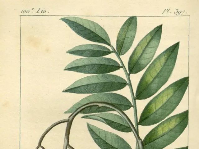 Craft an Origami Tulip with Stem in a Snap