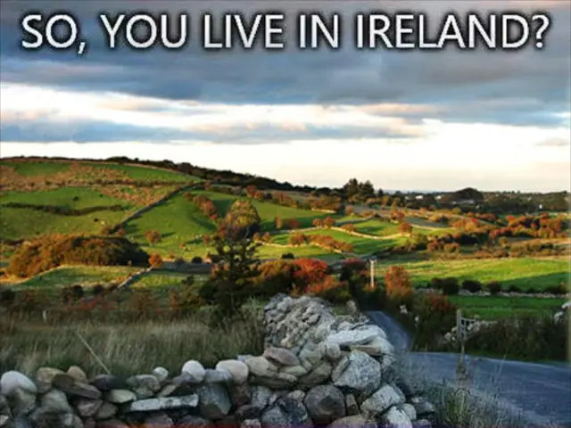 Transforming your conventional driveway with a smart paving system may decrease the likelihood of...