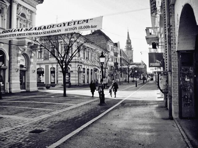 New pathway installed at Temple Newsam, offering disabled visitors access to its historical grounds