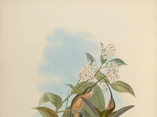 Creating Art from Hay Straw