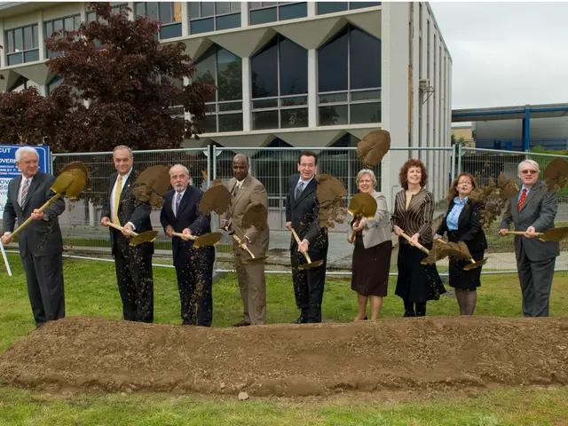 Driveway Upkeep: Essential Tips and Strategies