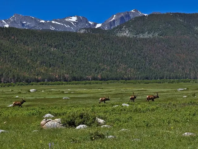 Natural phenomena explored by Brian Cox's studies