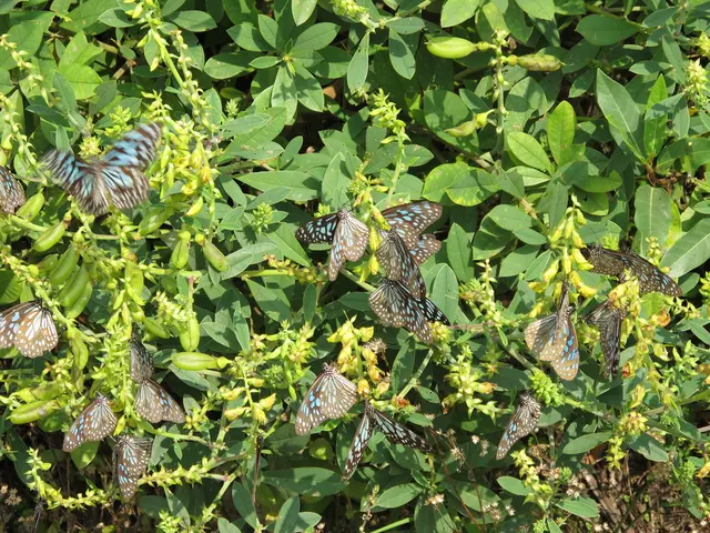 To Deter Unwanted Guests from Entering