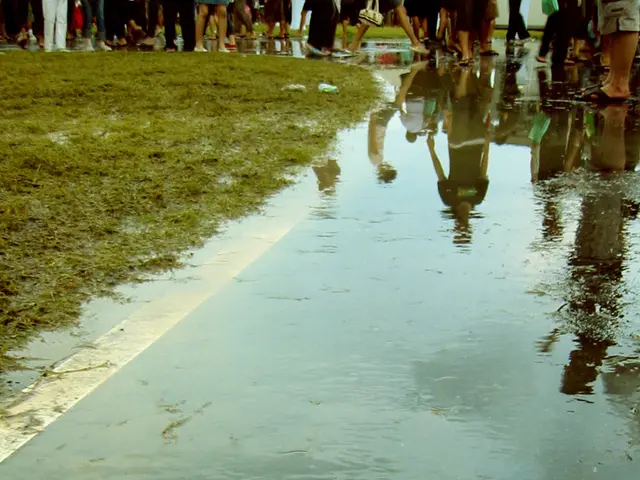 Cost-Effective Lawn Maintenance Strategies for a Lush Lawn Without Breaking the Bank