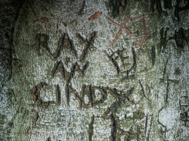 Struggles in Integration: First Turkish Apprentice in the District Reports Happiness in Gütersloh