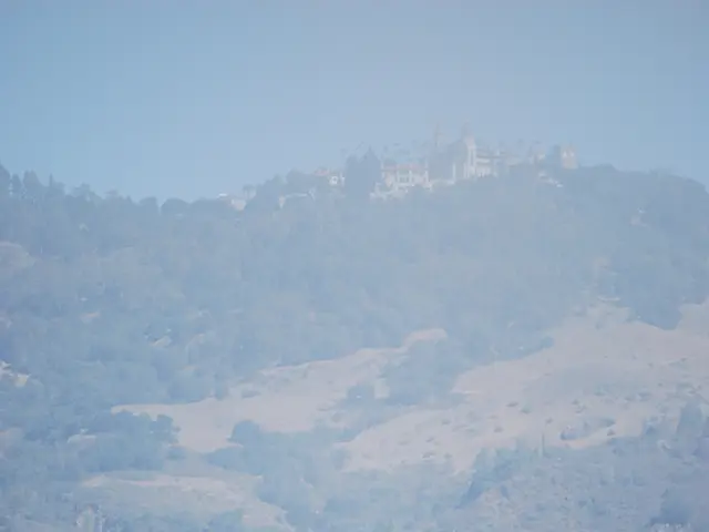 Farm in Freiberg gathers funds for therapeutic equine treatment