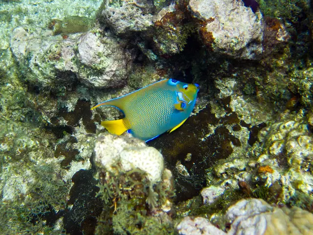 Comprehensive Review of Outstanding Fishing Spots on Grand Turk Island