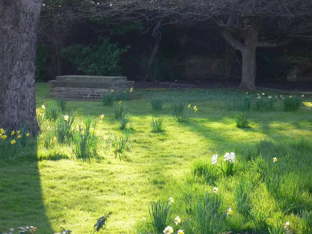 Unveiling the Mysteries: Exploring the Forgotten Gardens of London and Beyond in Two Fascinating...