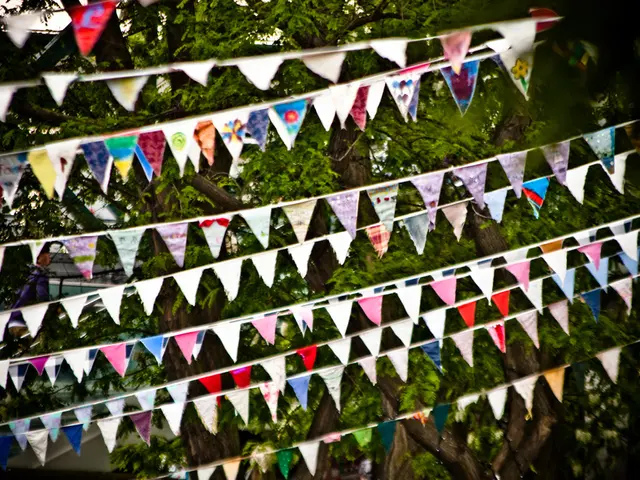 Unique Decorative Trees Perfect for a Stunning and Unique Landscape