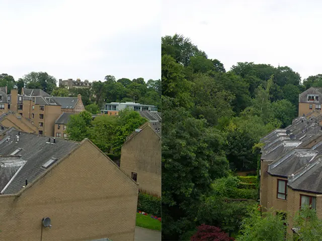 Neighborhood spat concludes following confidential information