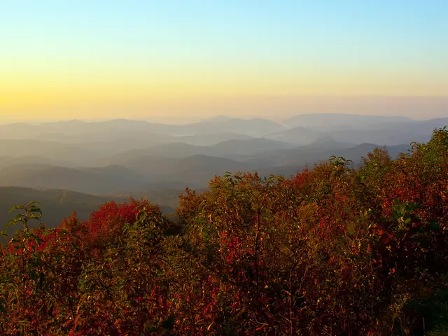 Breathtaking Virginia Nature Reserve Offers Alien-like Scenery and Hiking Paths