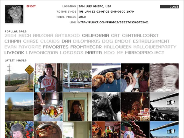"Exploring 14 Different Logo Types and Their Applications for Your Business Identity"