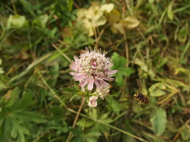 Final reminder for augmented biodiversity: Germany takes action!