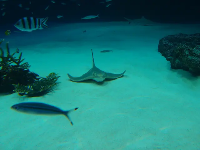 Effort to minimize microfibers in the ocean: focusing on their origin point